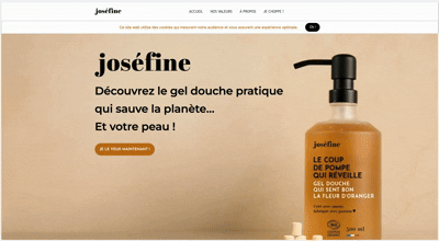 Des templates qui se la pètent page Notion
